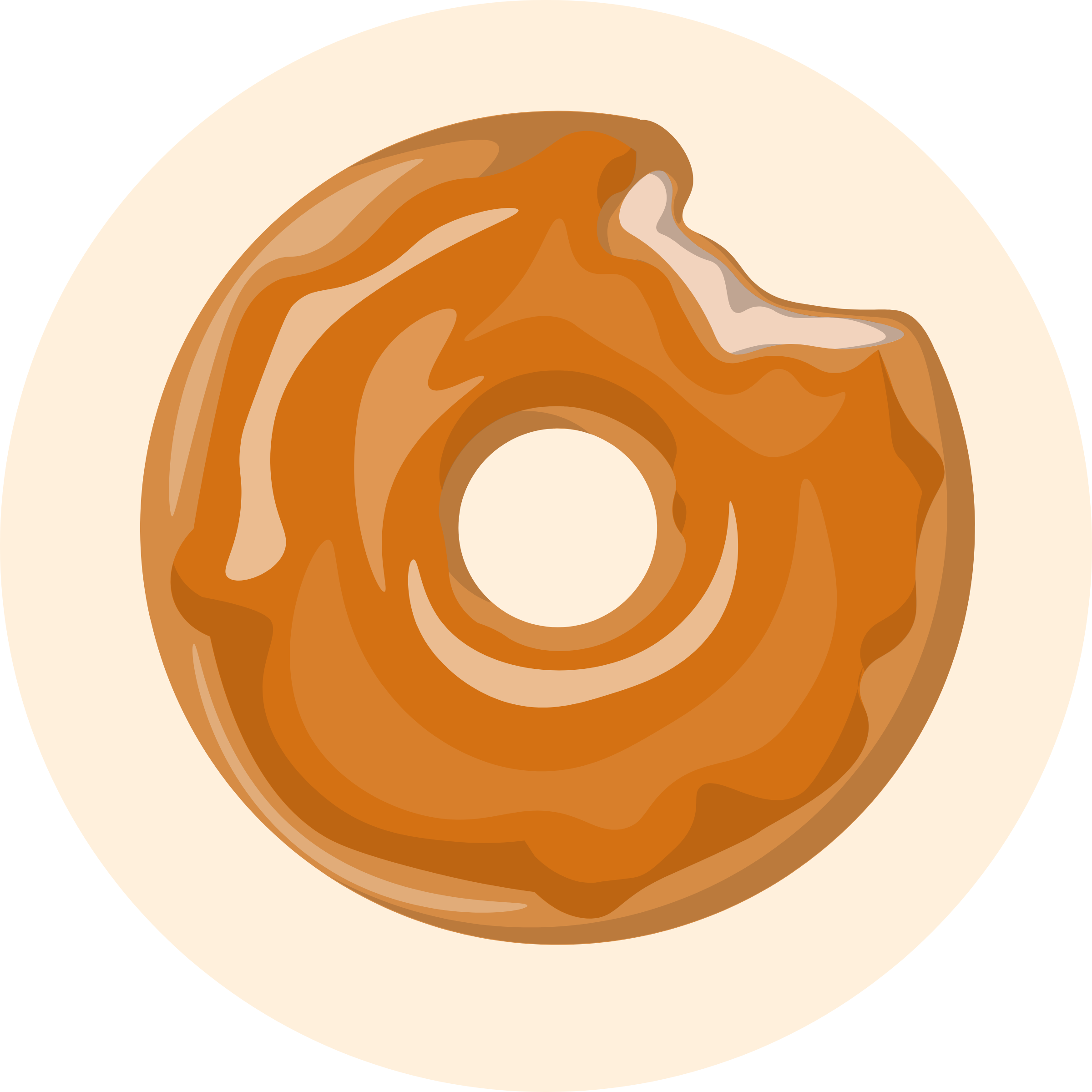 Cinnamon Donut