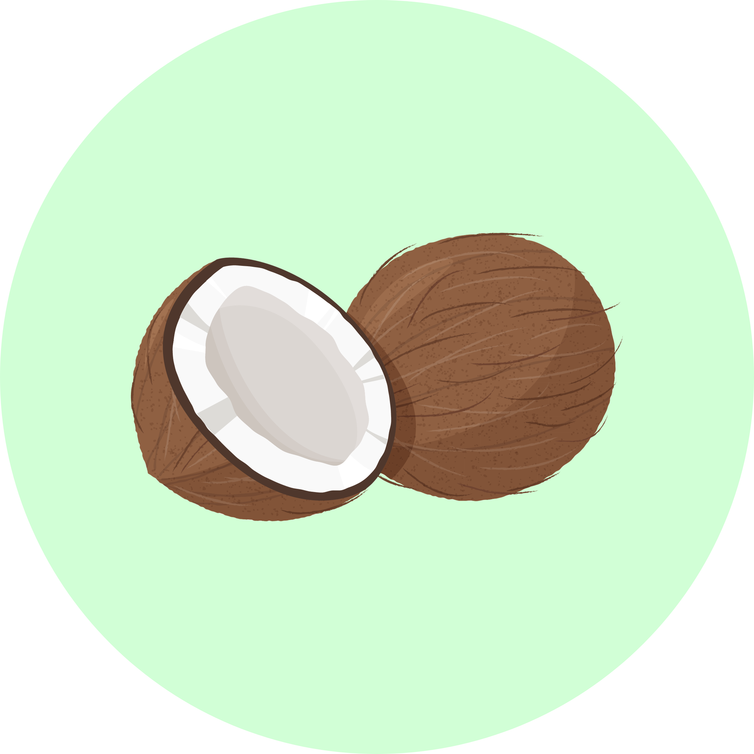 Coconut